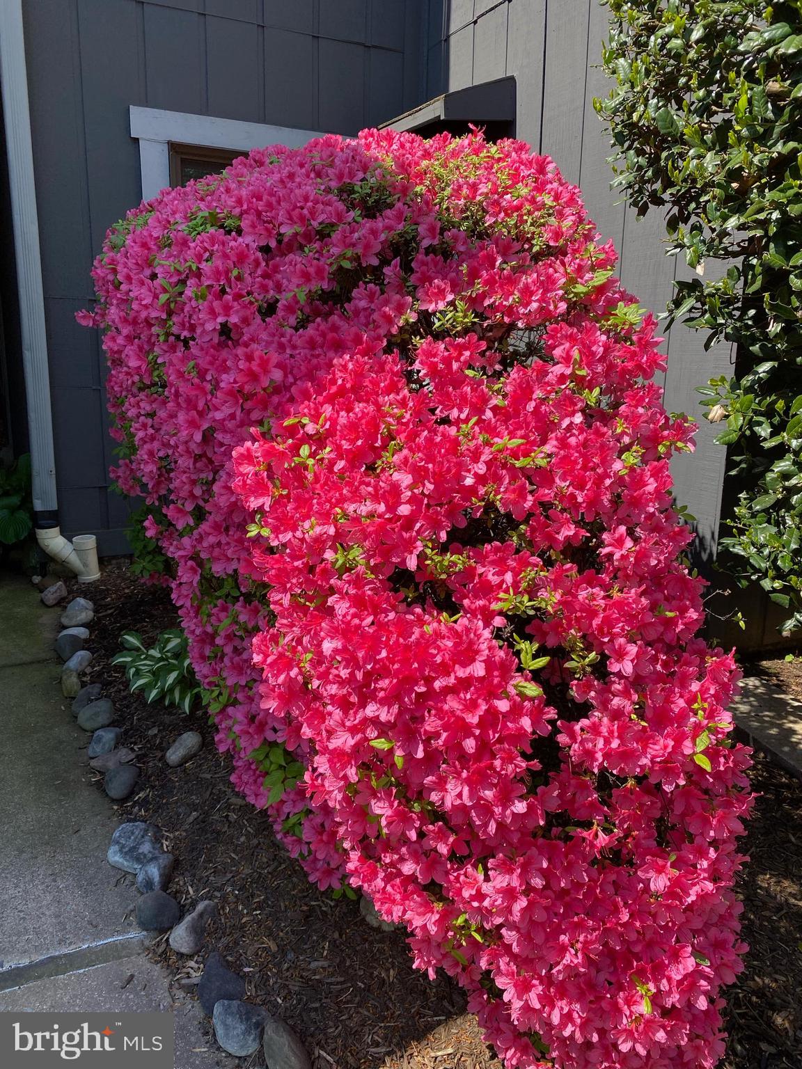 WINDBROOKE - Residential