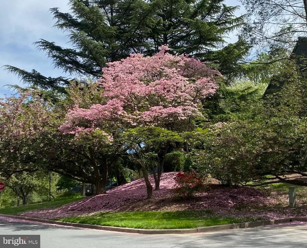 WINDBROOKE - Residential