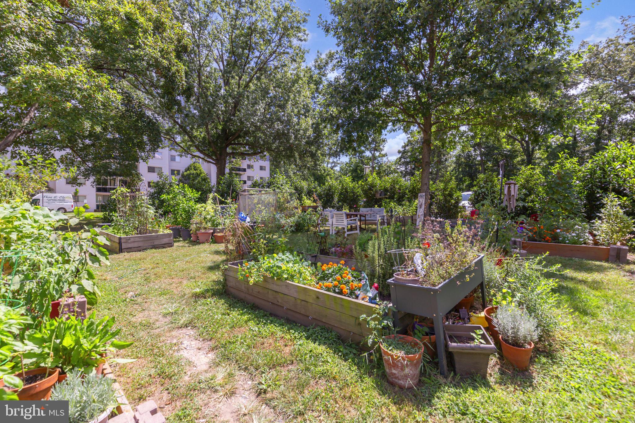 TAKOMA PARK - Residential