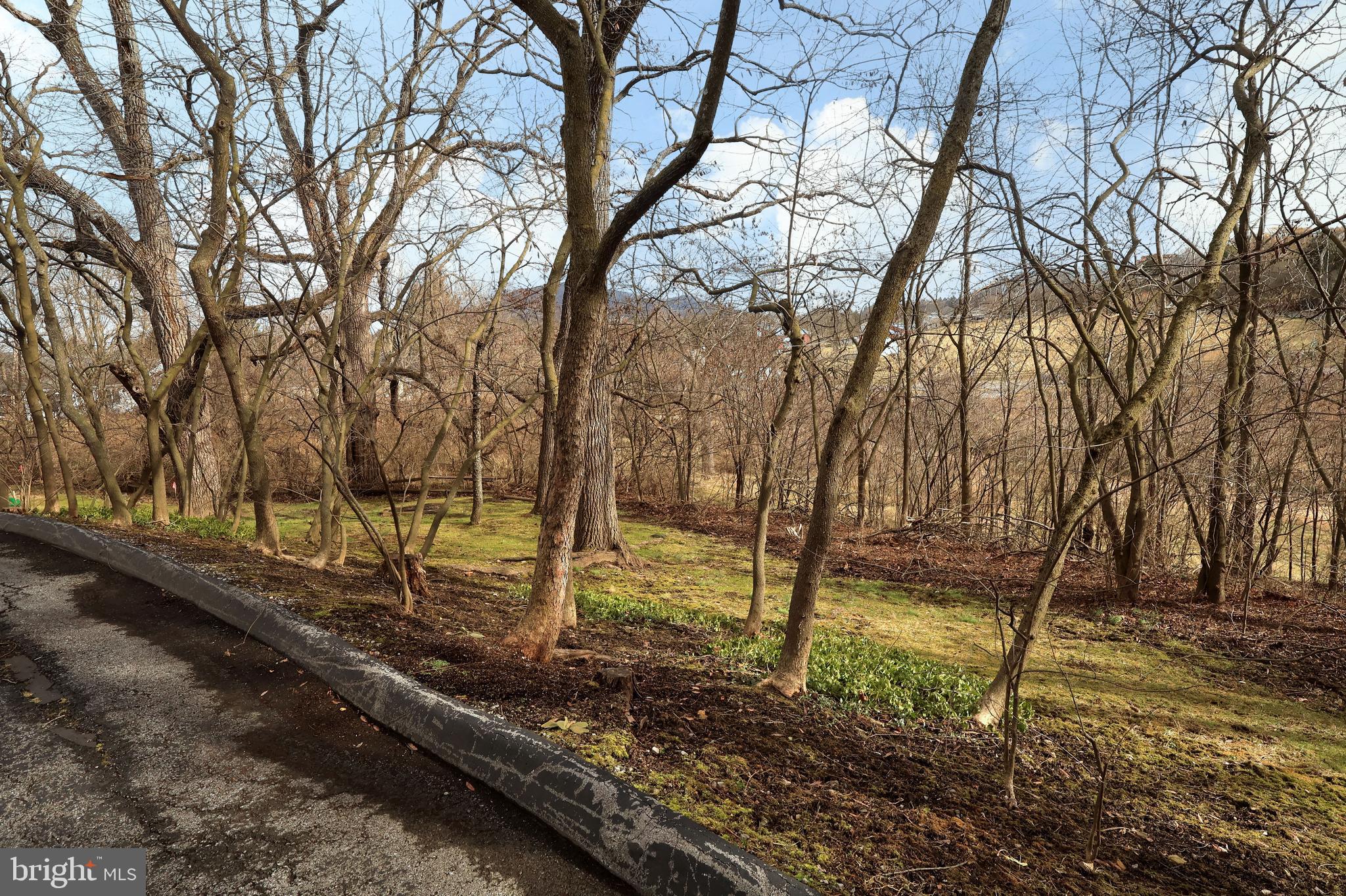 NITTANY HILLS - Residential