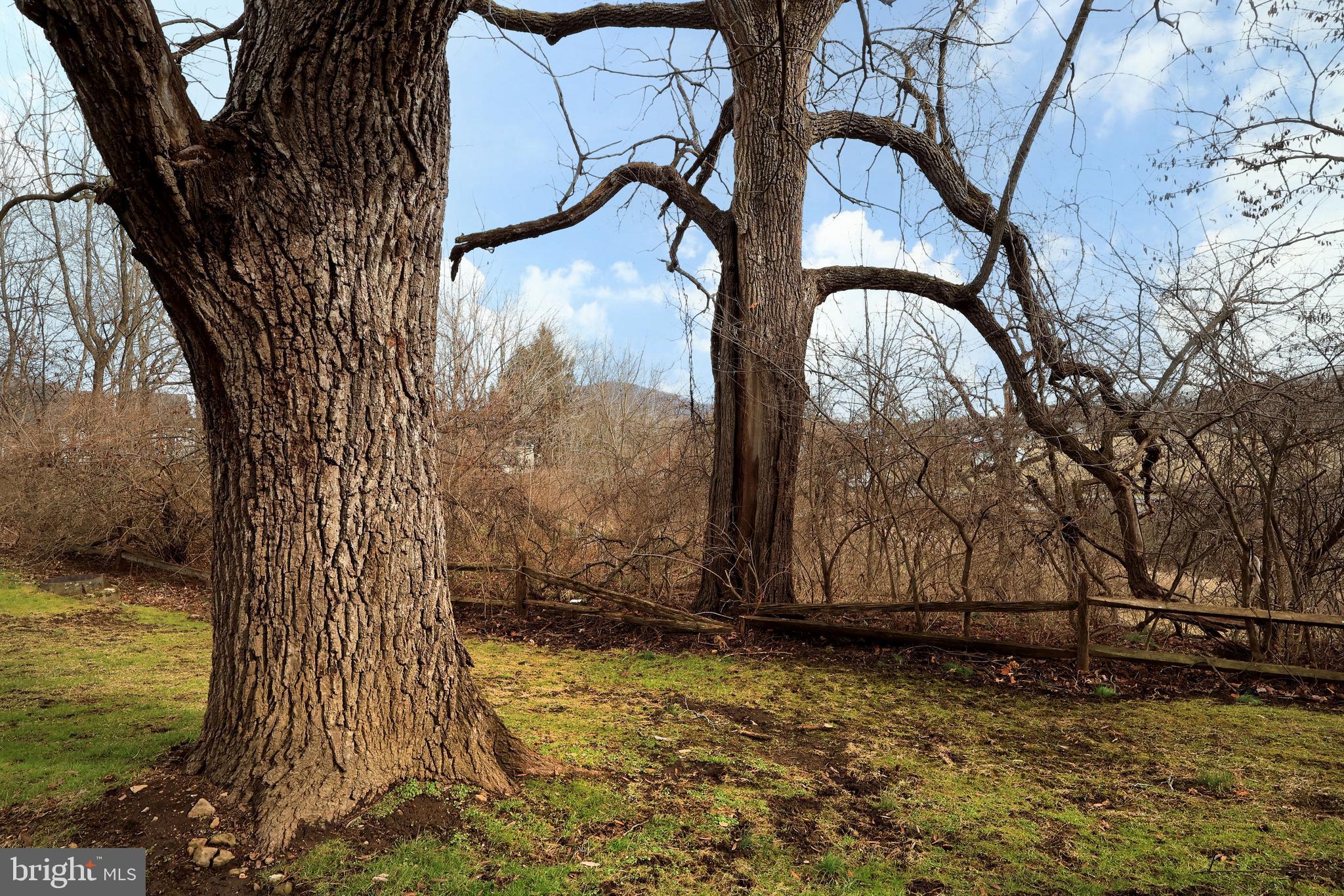 NITTANY HILLS - Residential