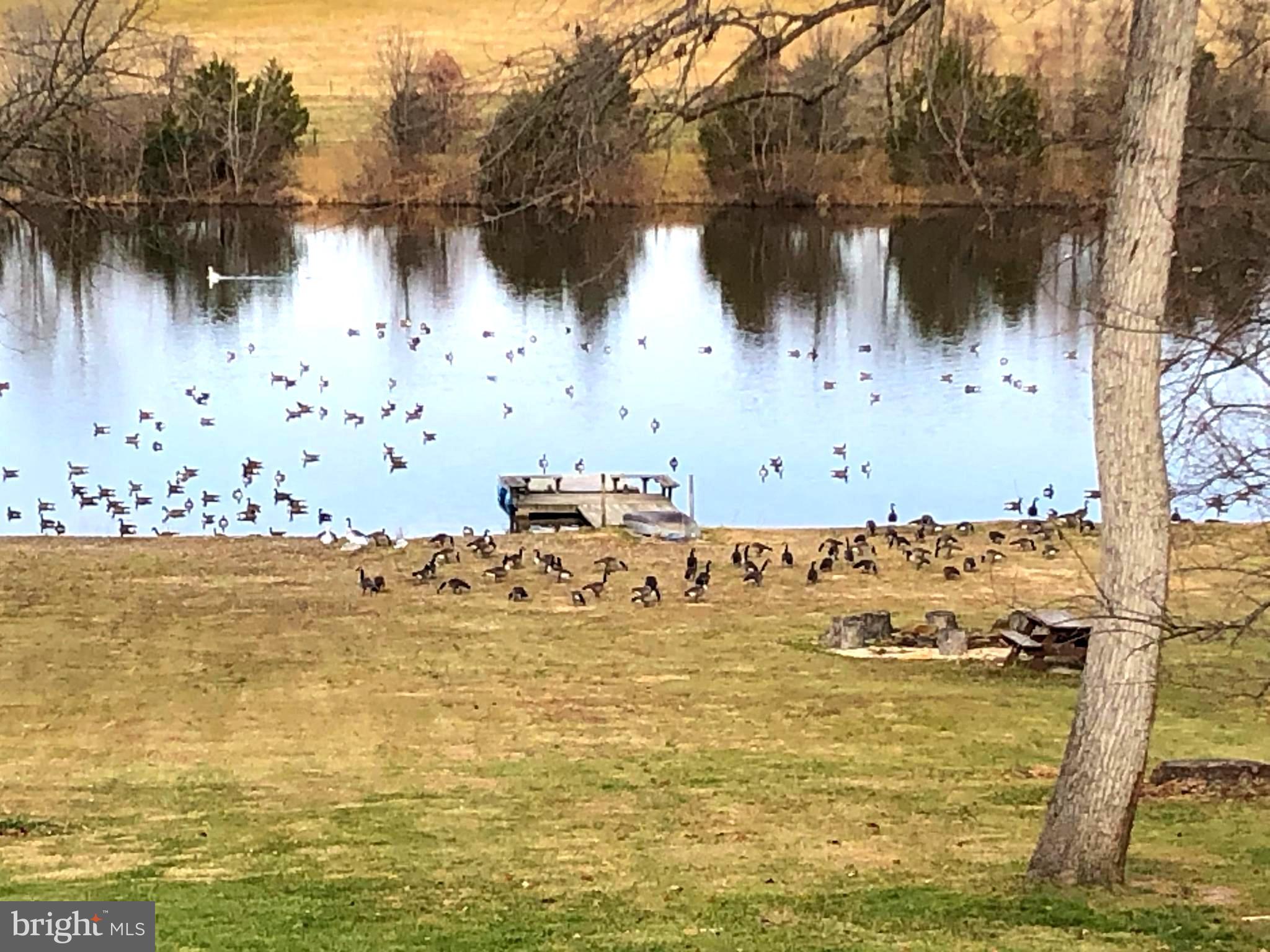STONEY POINT - Residential
