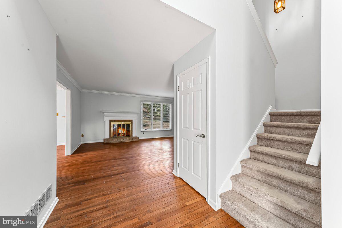 RADLEY RUN MEWS - Residential