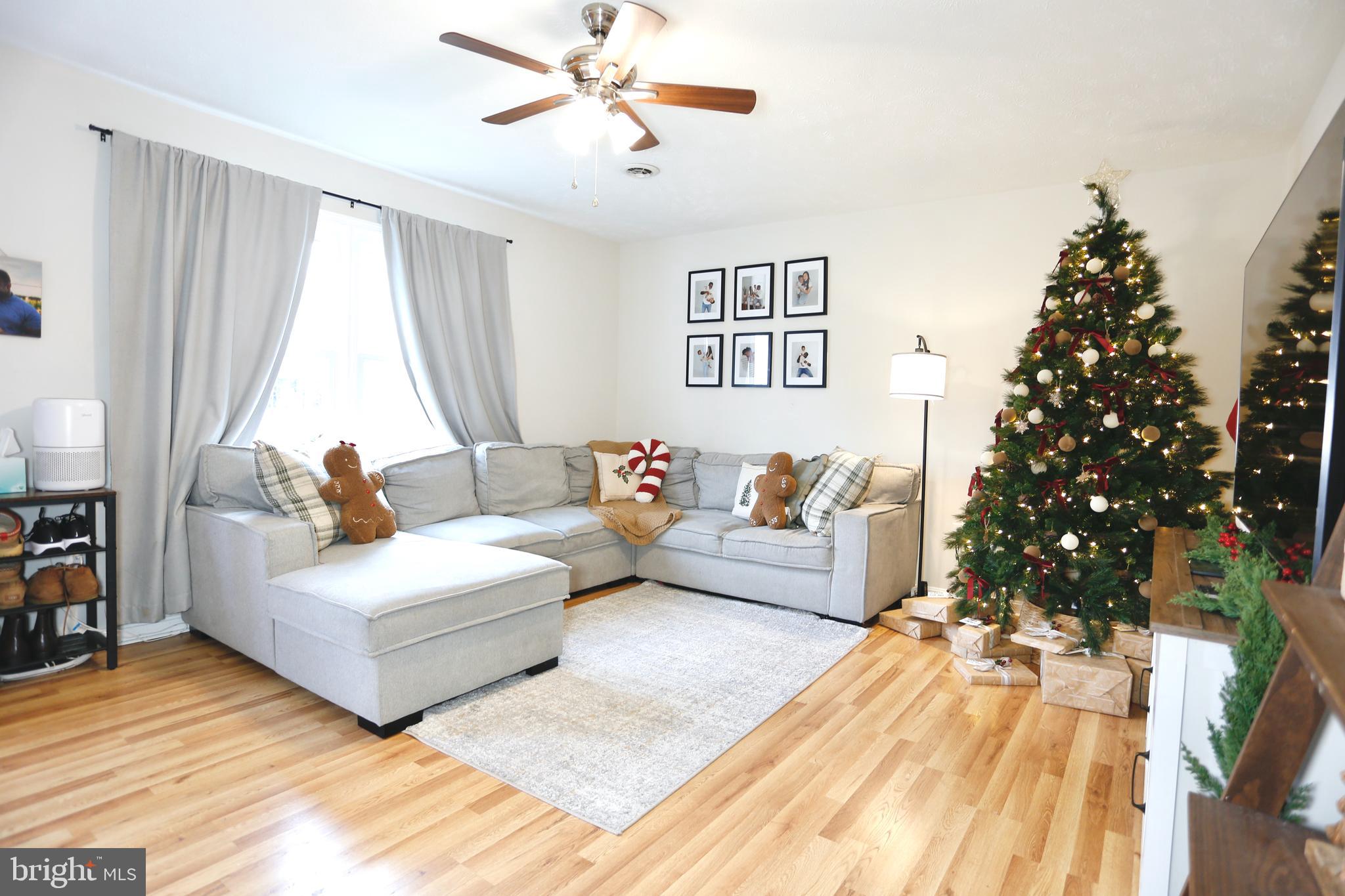 237 BLUE RIDGE AVENUE