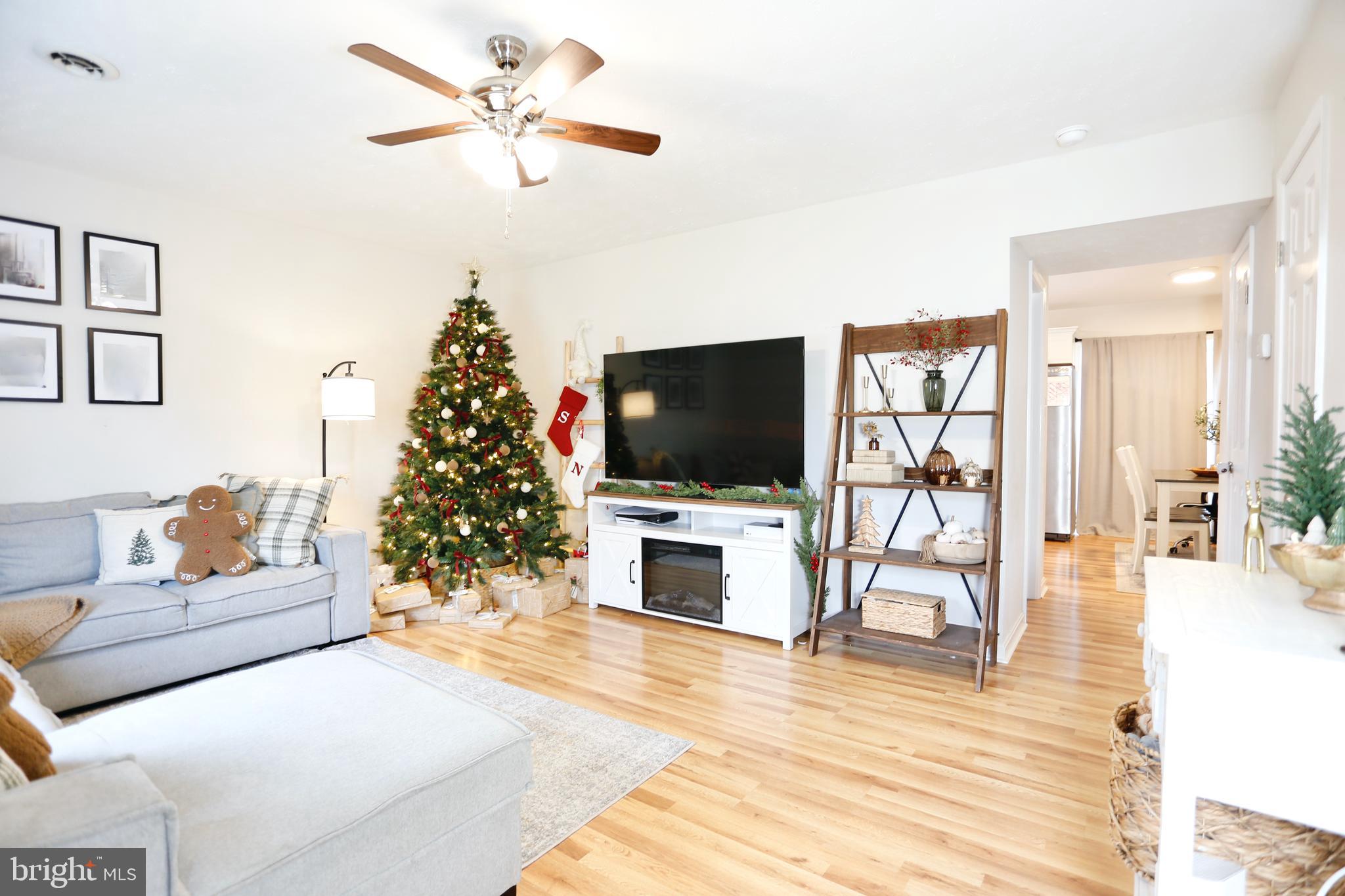 237 BLUE RIDGE AVENUE