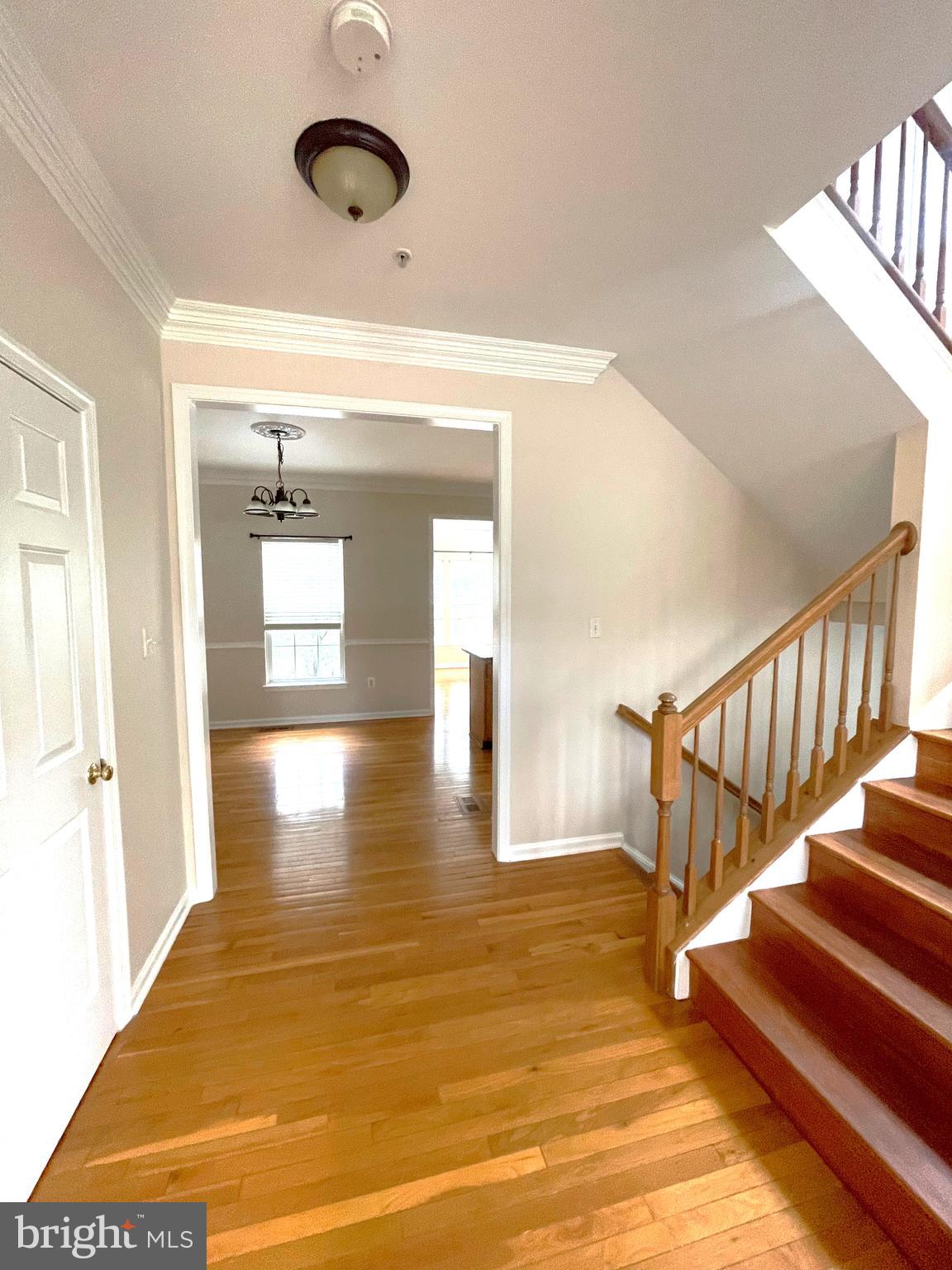 6101 NEWPORT TERRACE