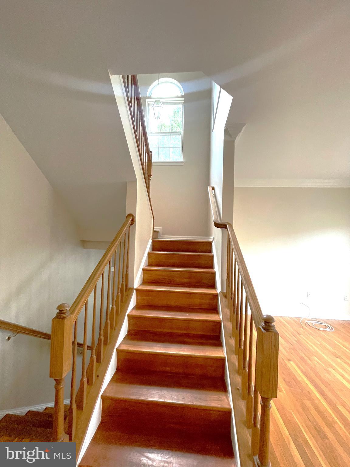 6101 NEWPORT TERRACE