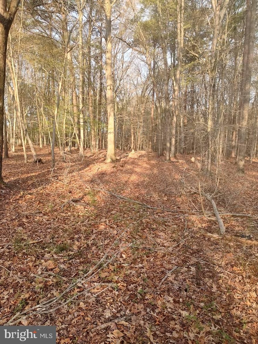 1/2 ACRE PARCEL ON RT. 50 PAST BOH BROOKS RD. SIGN POSTED, NO CURRENT PERC TEST.
