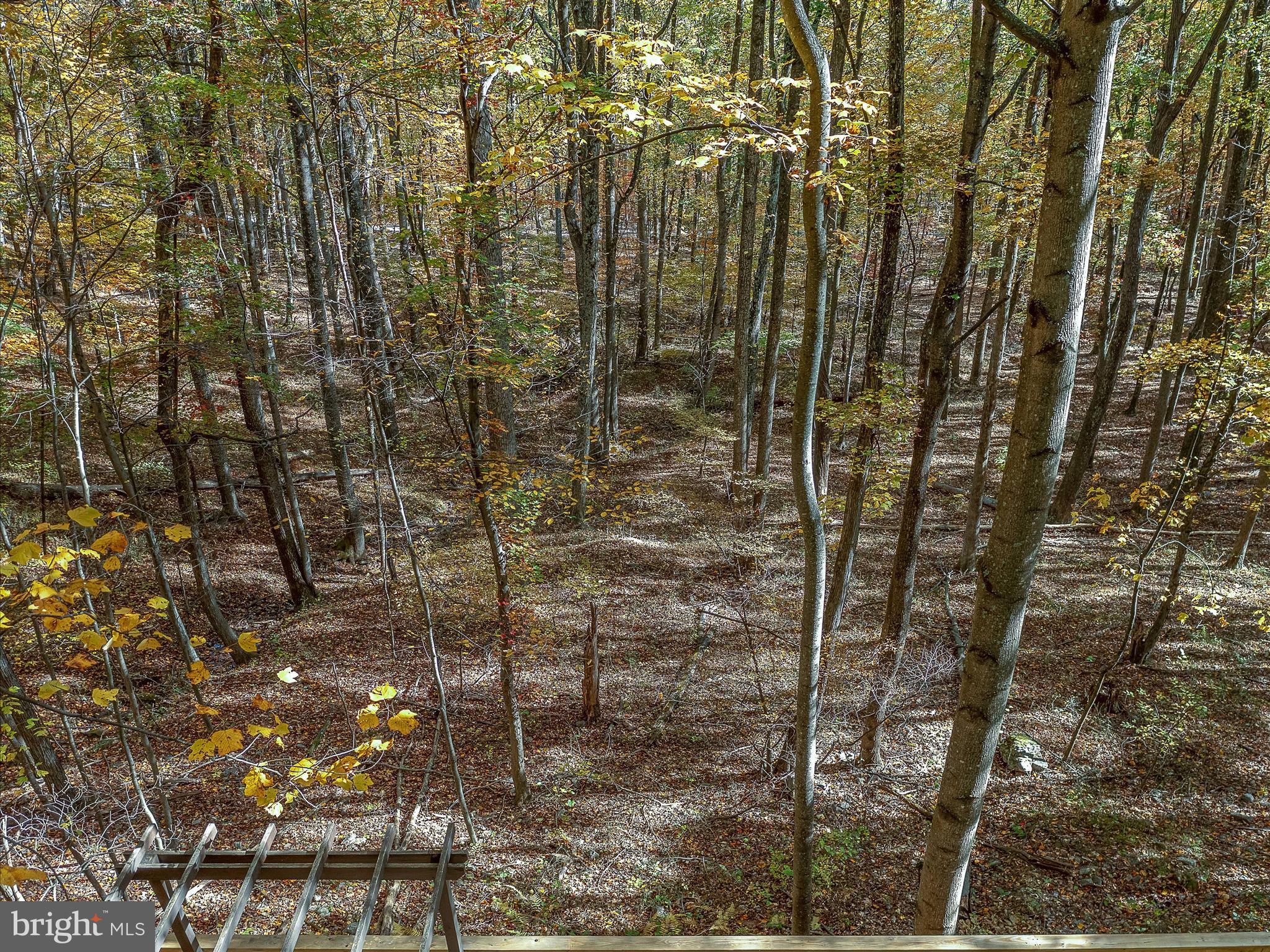 HAPPY VALLEY RETREAT - Residential