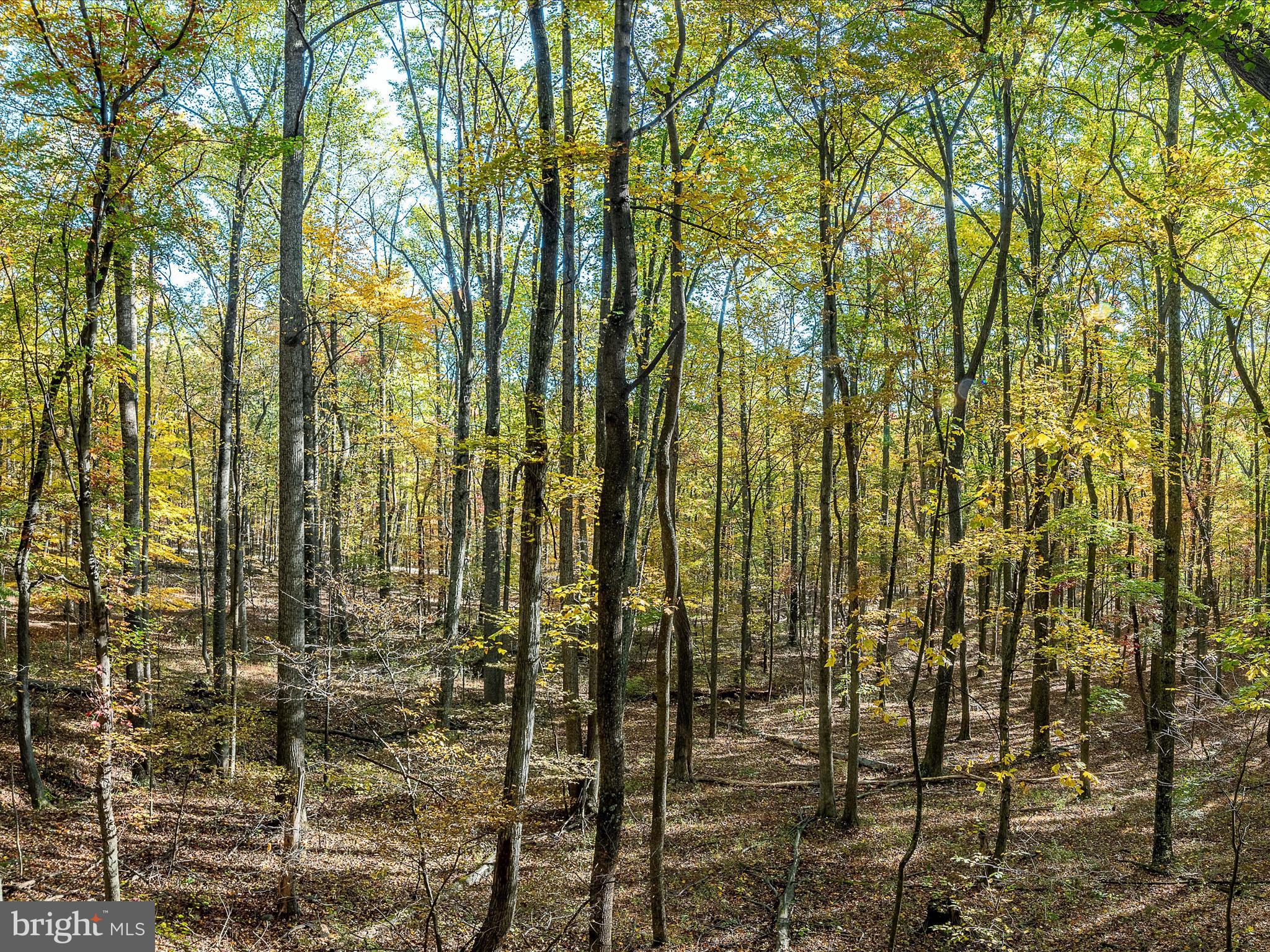 HAPPY VALLEY RETREAT - Residential