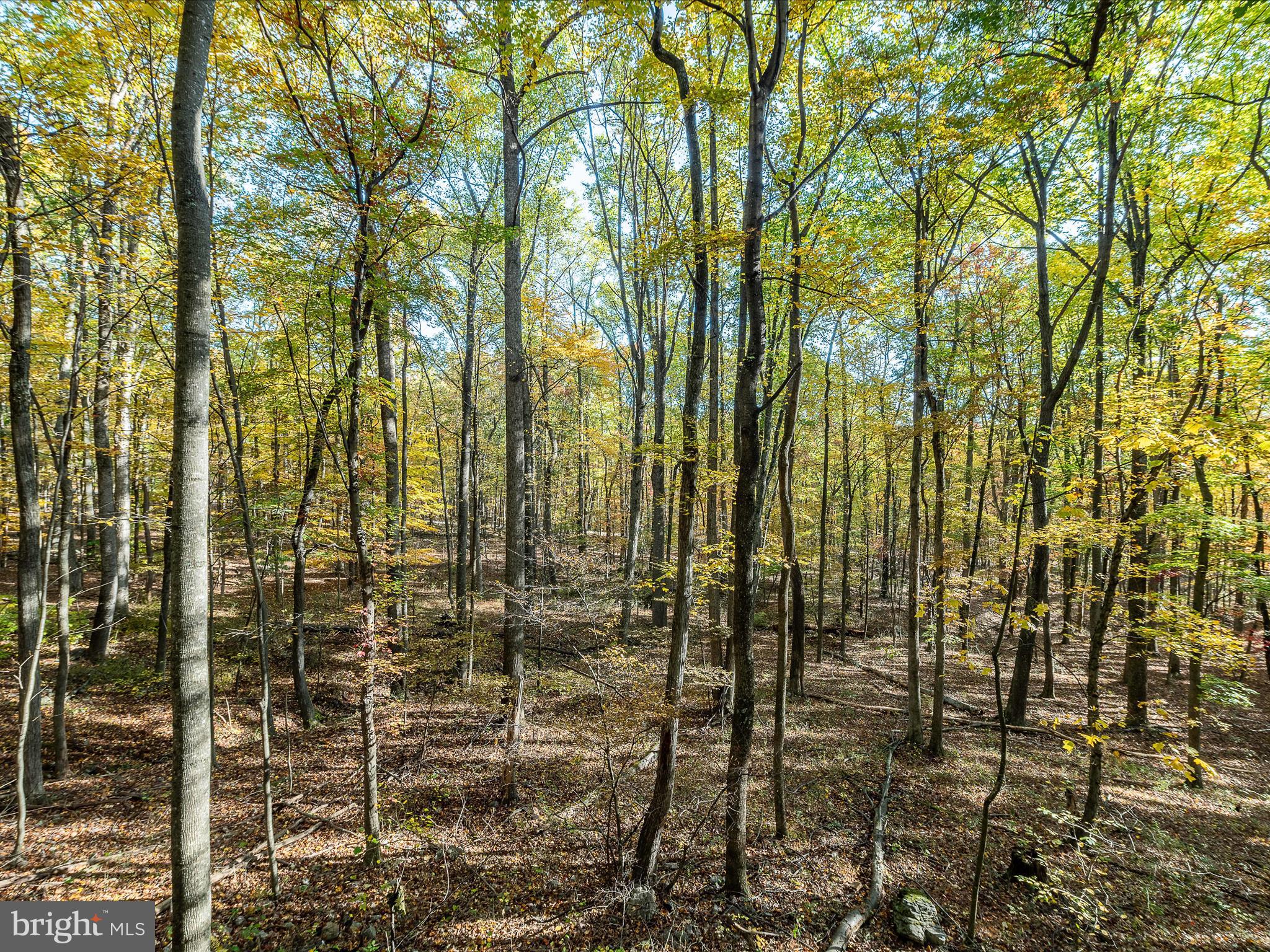 HAPPY VALLEY RETREAT - Residential