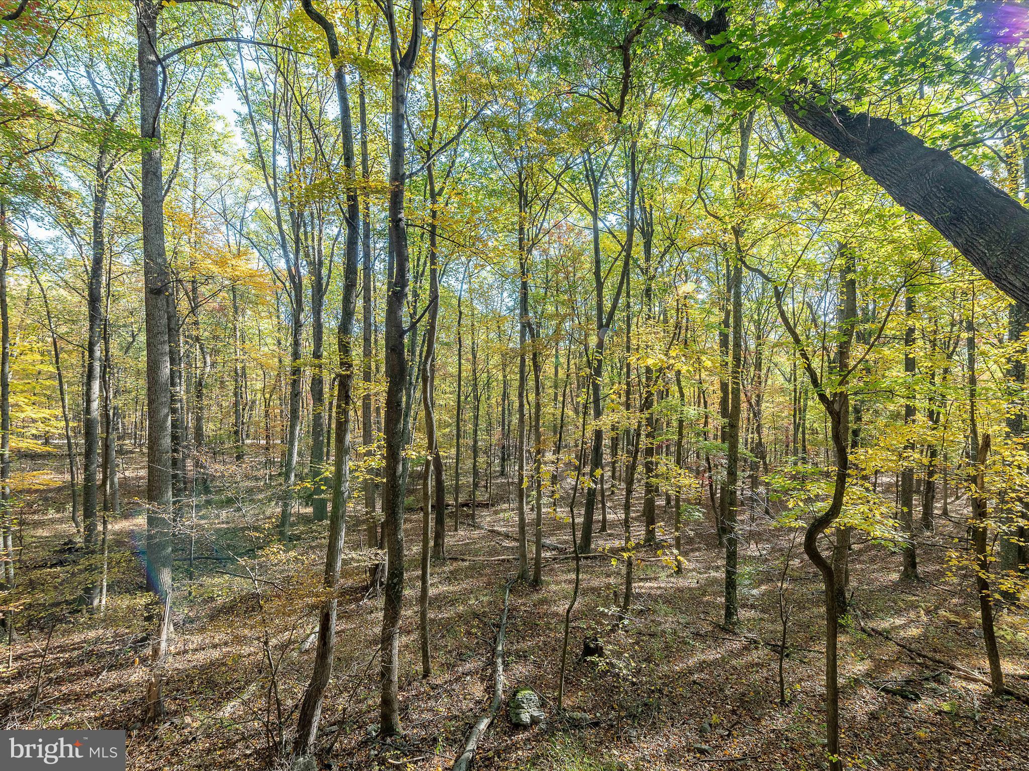 HAPPY VALLEY RETREAT - Residential