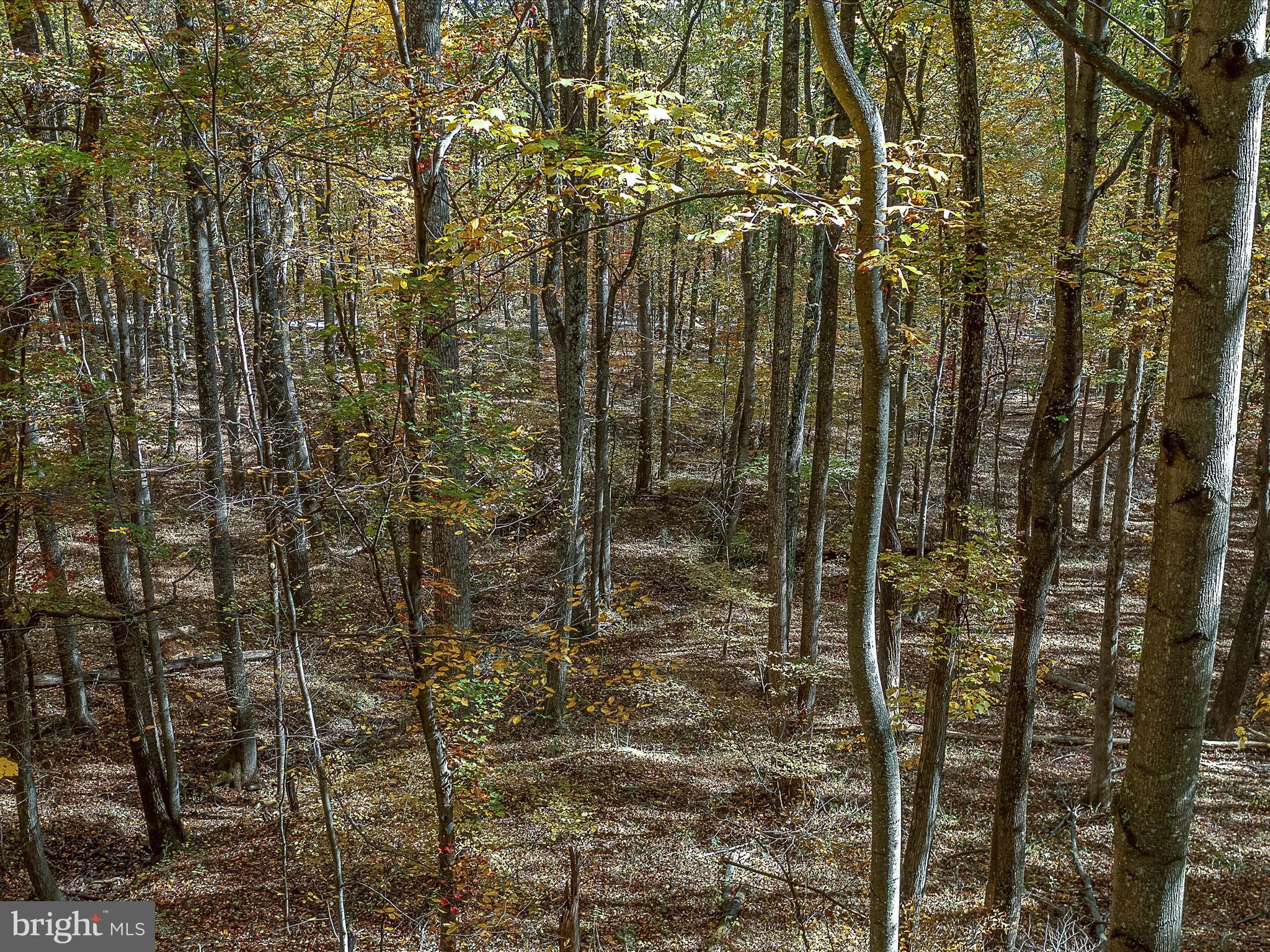 HAPPY VALLEY RETREAT - Residential