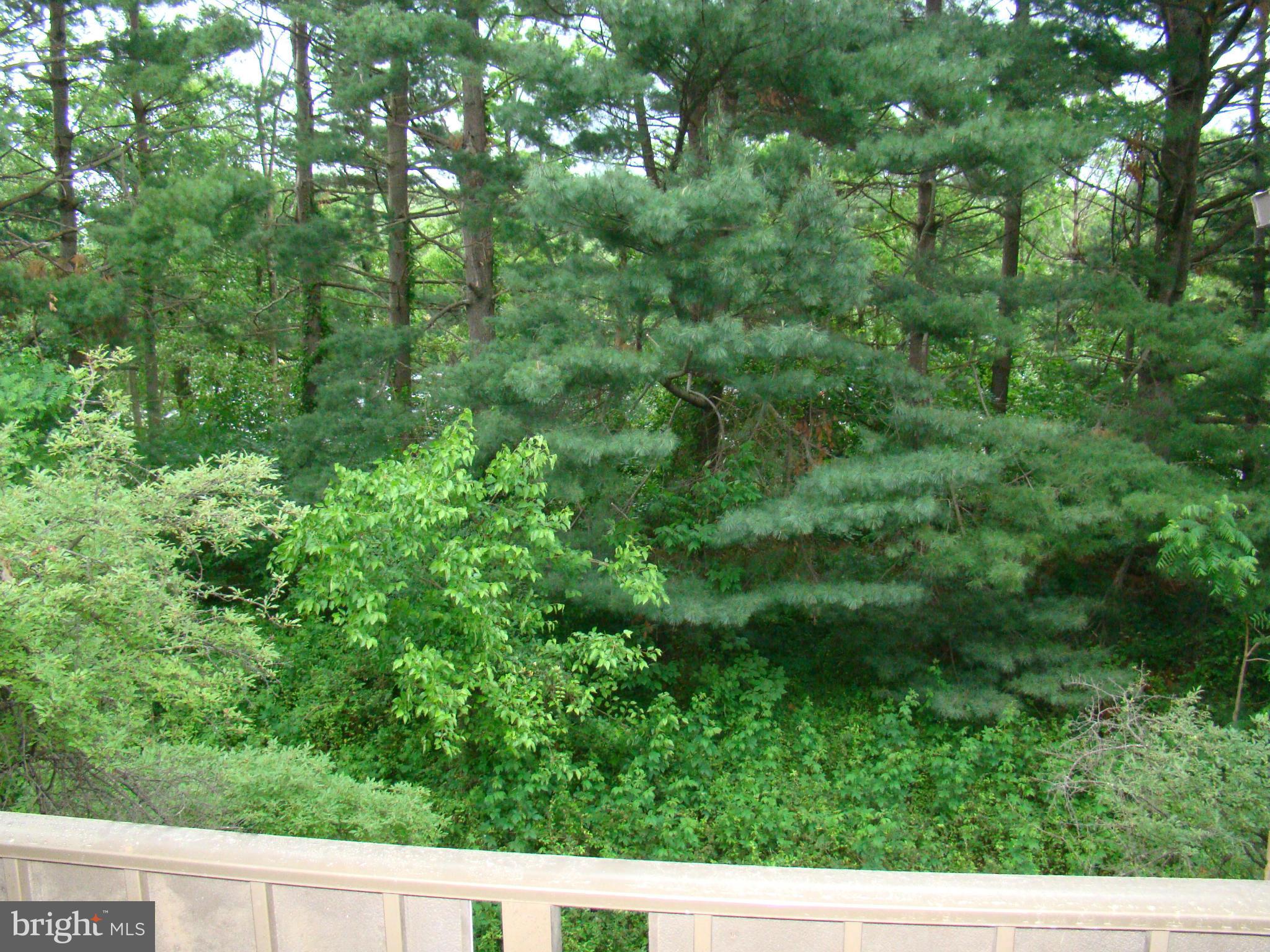 NORTHGATE - Residential