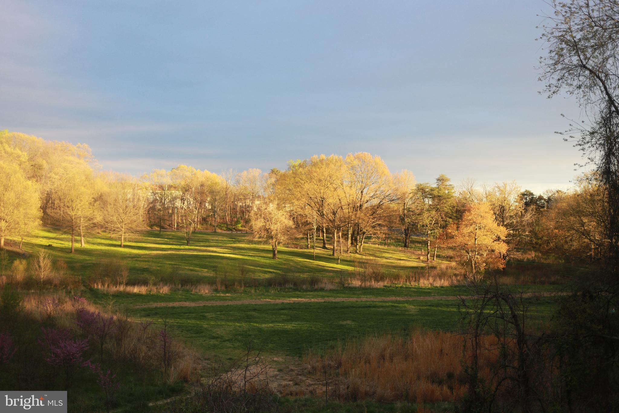 KINGSTOWNE - Residential