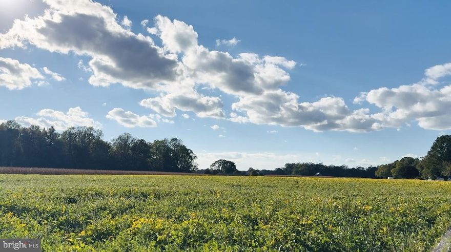 This beautiful property has almost 6.5 acres to build your dream home and enjoy nature at it's finest.  It is currently zoned Agricultural and has farmland adjacent to and across the street. There is no approved perc, or applied permit, but there are houses recently built on the other adjacent lots.  This land has been farmed for many years. The farmer has the right to harvest his crops (soy beans) prior to settlement.  There are no trees to clear for building, which is one less expense for buyers. This land is set in a nice location for commuting purposes for work, schools. restaurants and shopping.