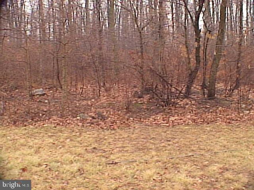 A perfect spot for your dream home! Half acre lot in mature neighborhood in Dallastown School District. Access to Gas, Electric, Cable & Phone.