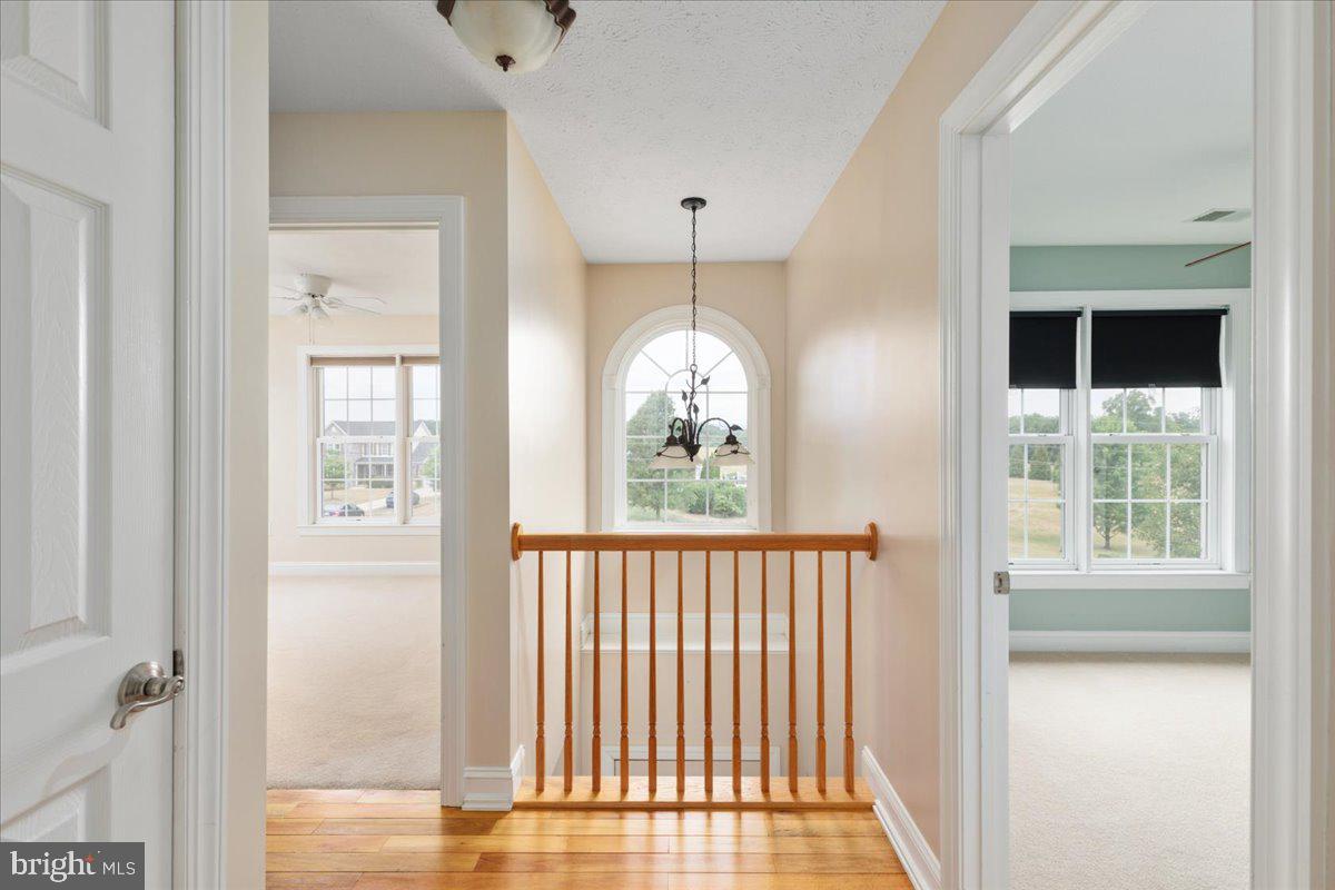 PINELAND PARK - Residential