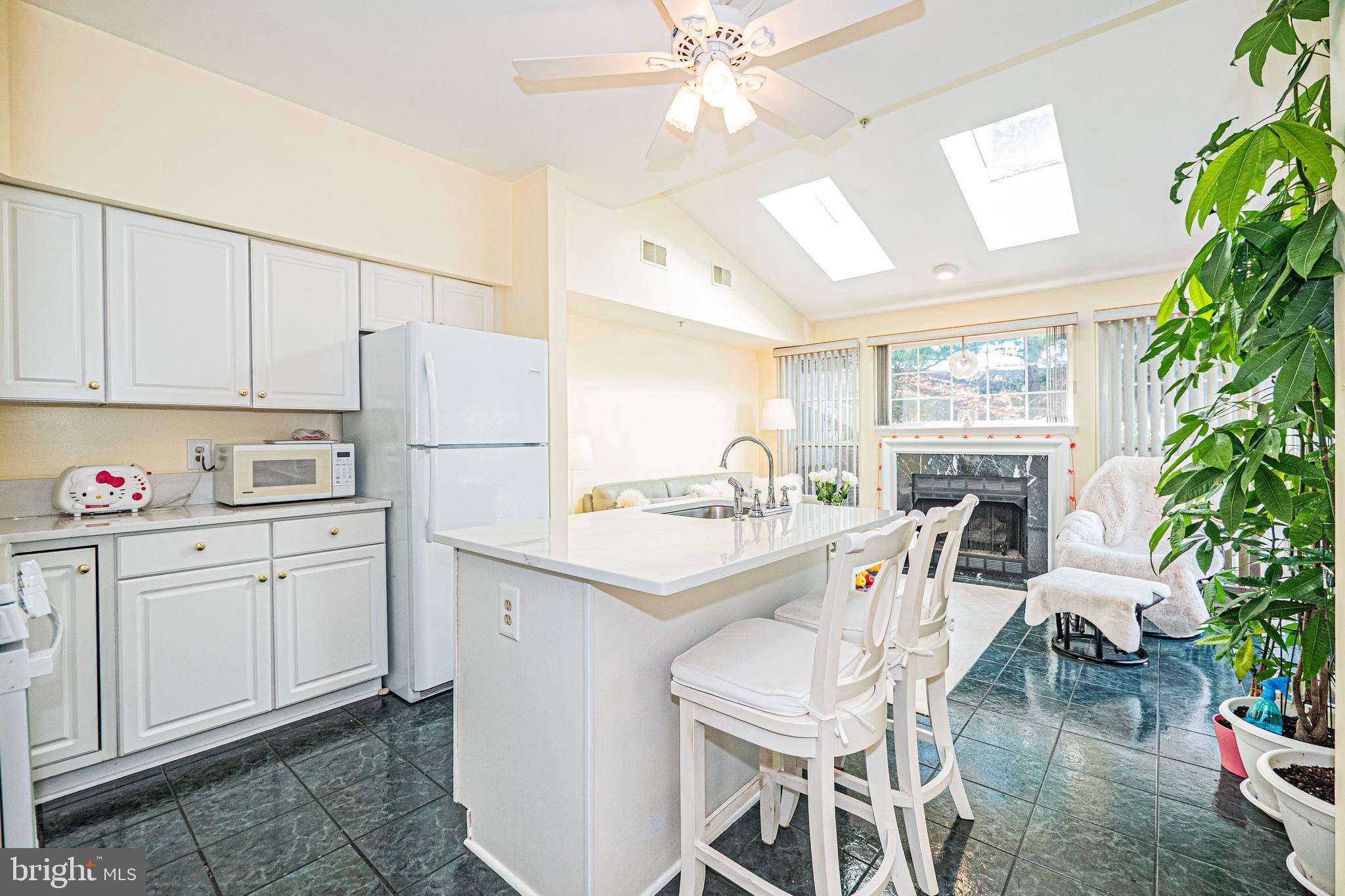 ASHBURN VILLAGE - Residential