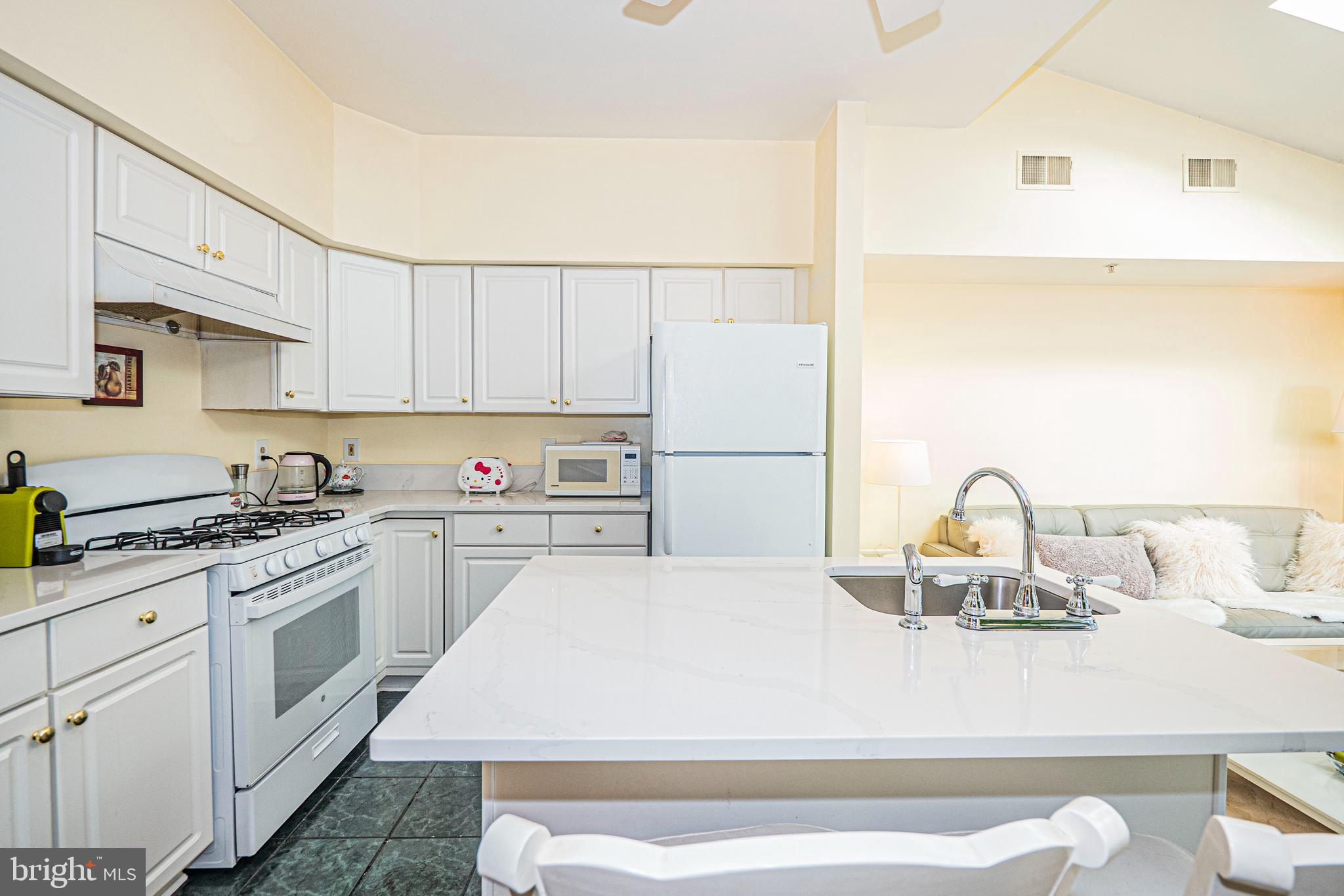 ASHBURN VILLAGE - Residential