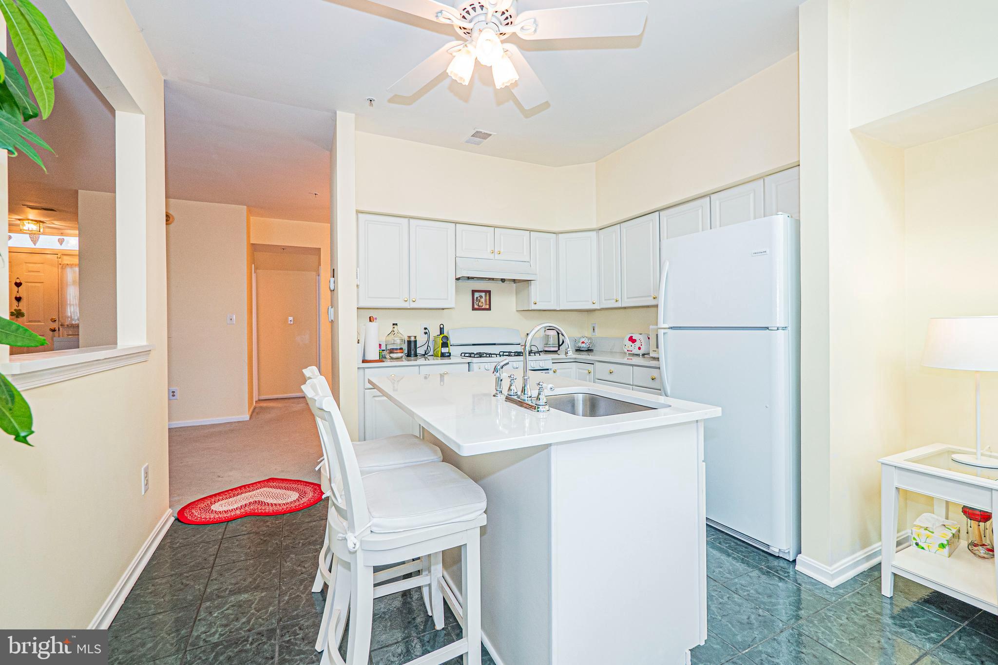 ASHBURN VILLAGE - Residential