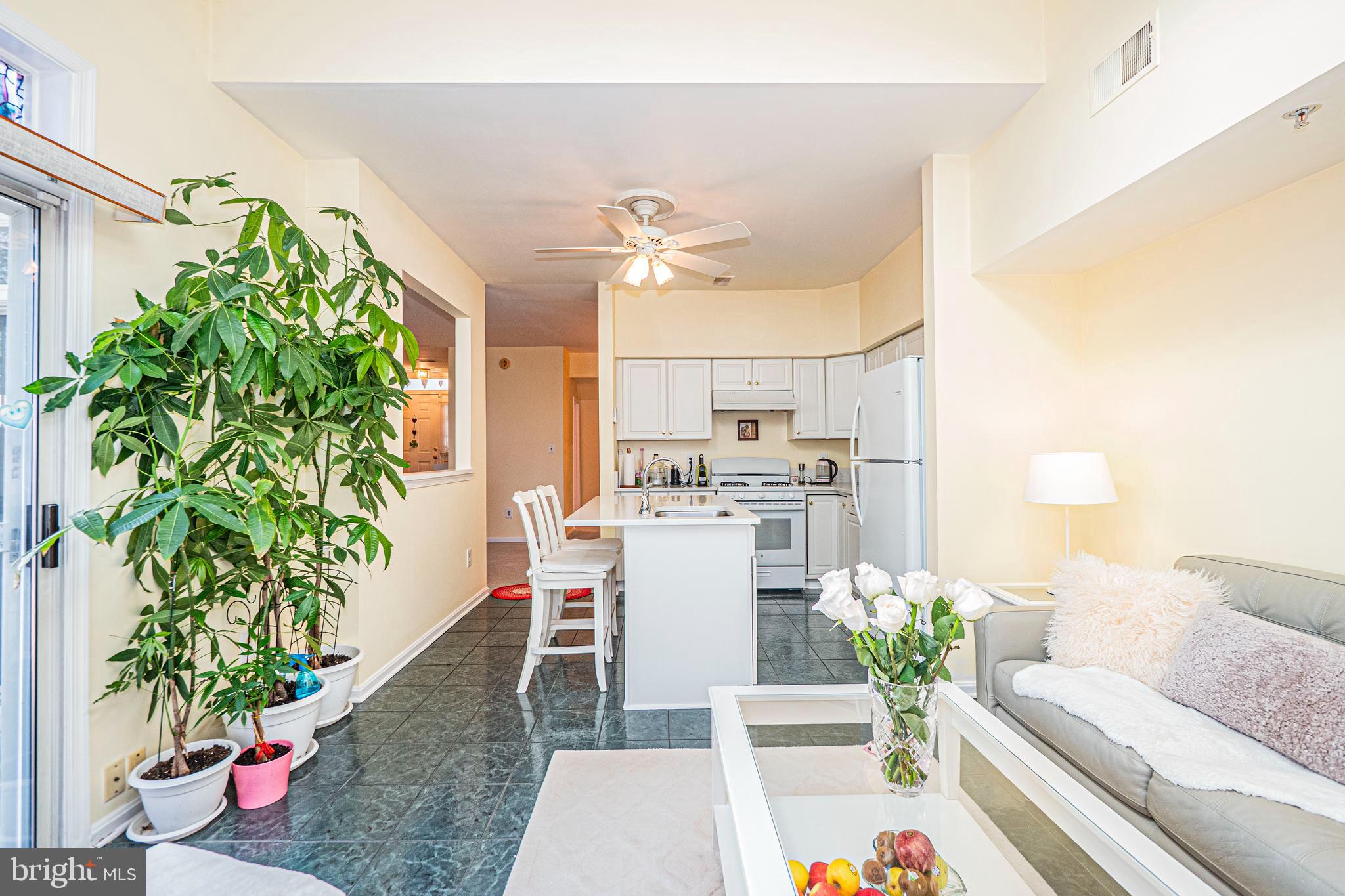 ASHBURN VILLAGE - Residential