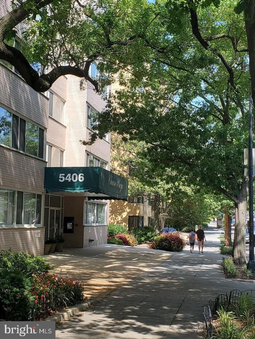 COMMERCIAL AND RESIDENTIAL, OVER 1,500 SQFT, 3 BEDROOMS/3 FULL BATHS AND TWO NEW KITCHENS, SINGLE FAMILY OR MULTI-FAMILY HOME, 55+ HOME,  AND/OR  PROFESSIONAL OFFICES, GREAT LOCATION, GORGEOUS CORNER UNIT!  Rarely available COMMERCIAL AND RESIDENTIALl property, located in the best business and residential area of Chevy Chase, D.C.!  GREAT FOR A SINGLE HOME/MULTI-FAMILY HOME AND/OR A PROFESSIONAL OFFICES, also GREAT 55+ HOME, ADAPTABLE,AND EFFICIENT LAYOUT.  Newly renovated throughout, drenched with sunlight, spectacular views of mature trees; within walking distance to Metro train and bus station, shops, restaurants, grocery stores, cafes, theater, bookstore, banks, post office, arts/crafts, and best schools in D.C! 
This gorgeous corner unit is a union of two units---a spacious studio unit and a 2 bedrooms/2 full baths unit, separated by an adjoining door, create an extraordinary layout, perfect for both a home/multi-family home and/or a professional offices . It can be used as one beautiful vast unit or two separate subunits, each with its own entrance and exit. It's easily convertible from one unit to two subunits and vice versa. Make the whole property your beautiful home or professional offices; or make one subunit your home and one subunit your professional offices; or live/work in one subunit and share one subunit with your parents/friends; or rent it out as a great investment property. The possibility is endless!  You cannot find another gem like this.
All UTILITIES INCLUDED; wheelchair accessible with ramp and 36"+ wide hallway; wheelchair accessible bathrooms with extra wide doors; no steps into the building from the front entrance; additional storage space in the basement; easy access to I-495. 
Don't miss this RARE GEM!