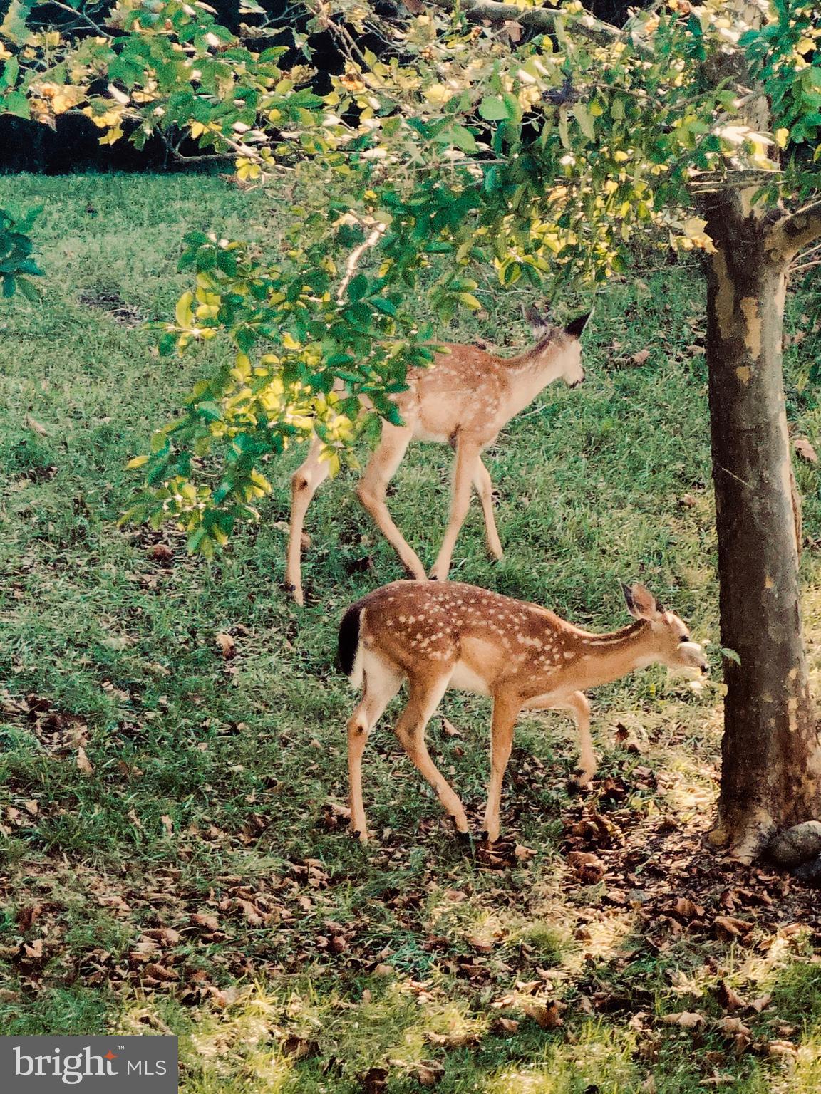 13071 INVERGORDON STREET