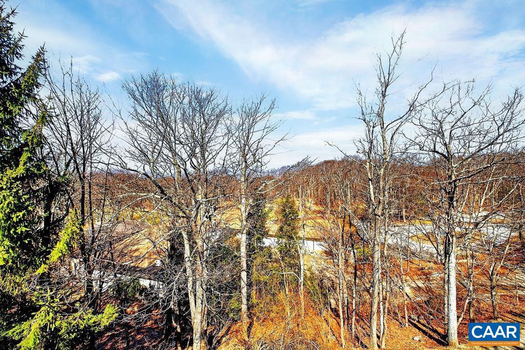 WINTERGREEN RESORT - Residential