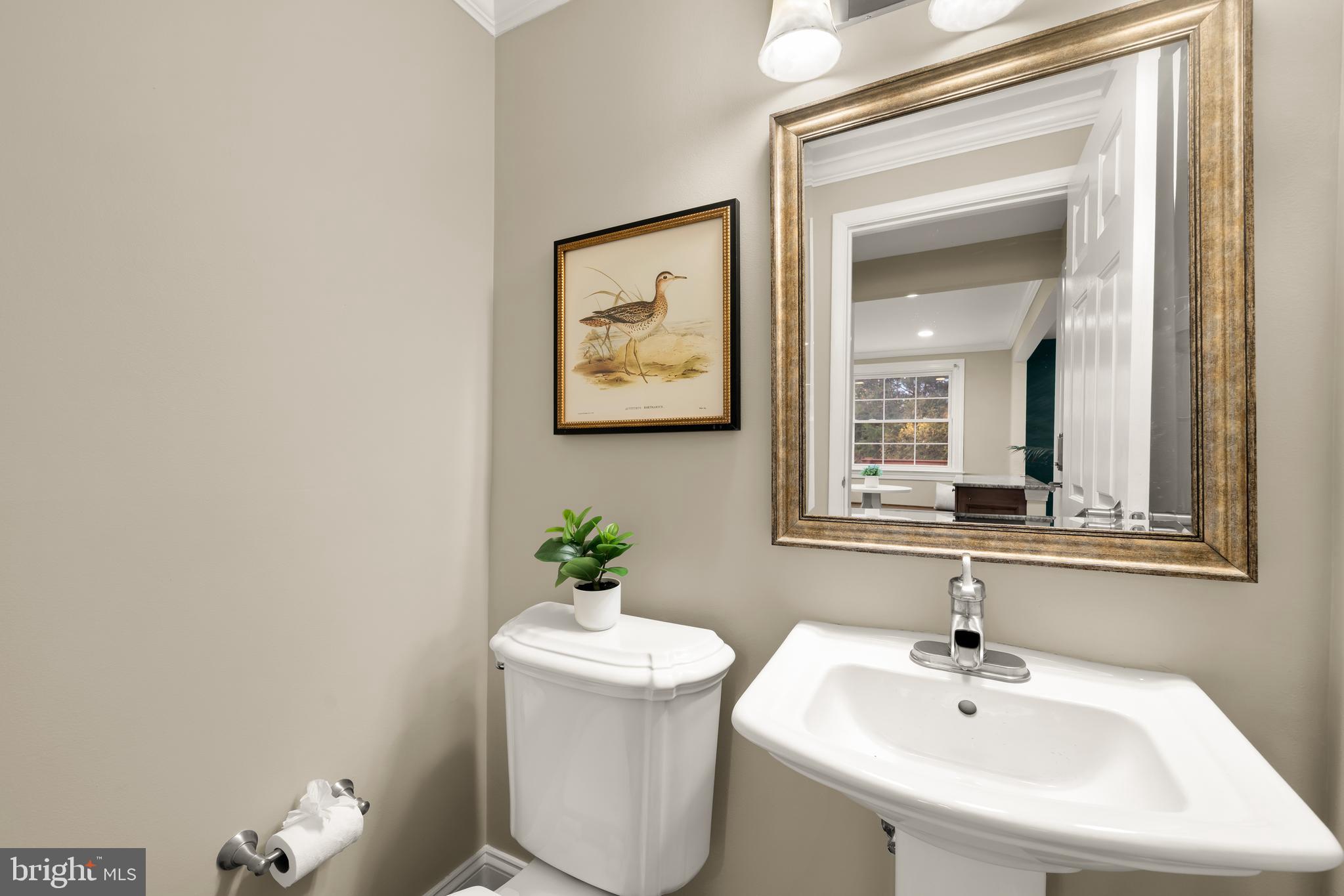 LEXINGTON ESTATES - Residential