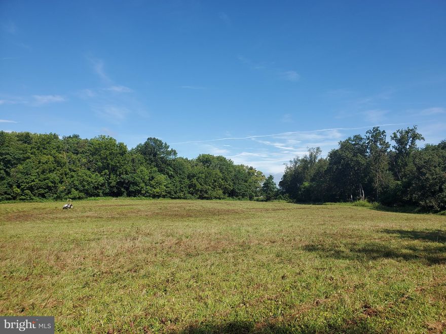 Gorgeous, level and private 6.38 acres to build your dream home!  Property has deer, turkey, pileated woodpeckers and lots of fresh raspberries.  Additional parcel containing .192 acre to be included with this sale.  There is no HOA, no restrictions and no city taxes.  A contiguous lot is also available for sale containing 3.7 acres.   This property has been in the family for generations!  It is close to the Taylors Landing Potomac River access!