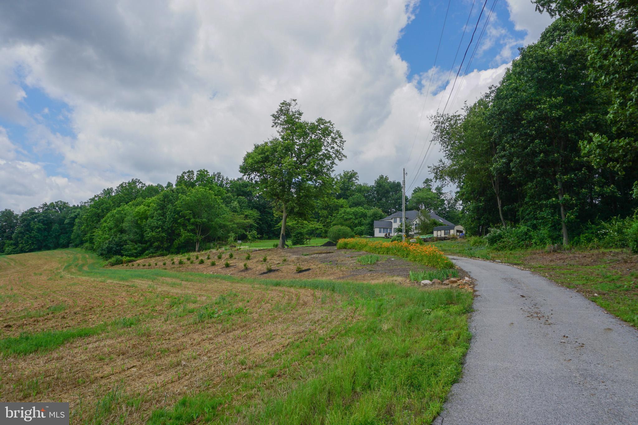 NONE AVAILABLE - Farm