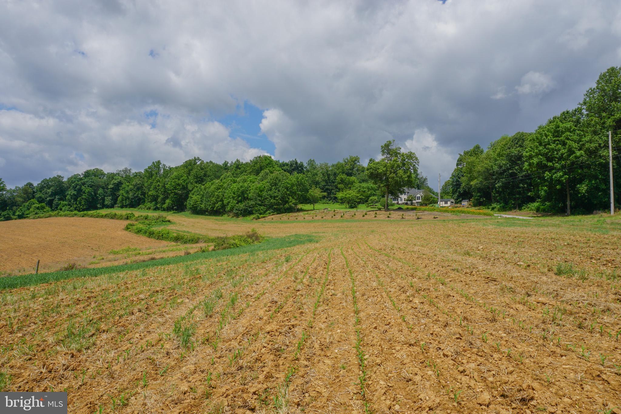 NONE AVAILABLE - Farm