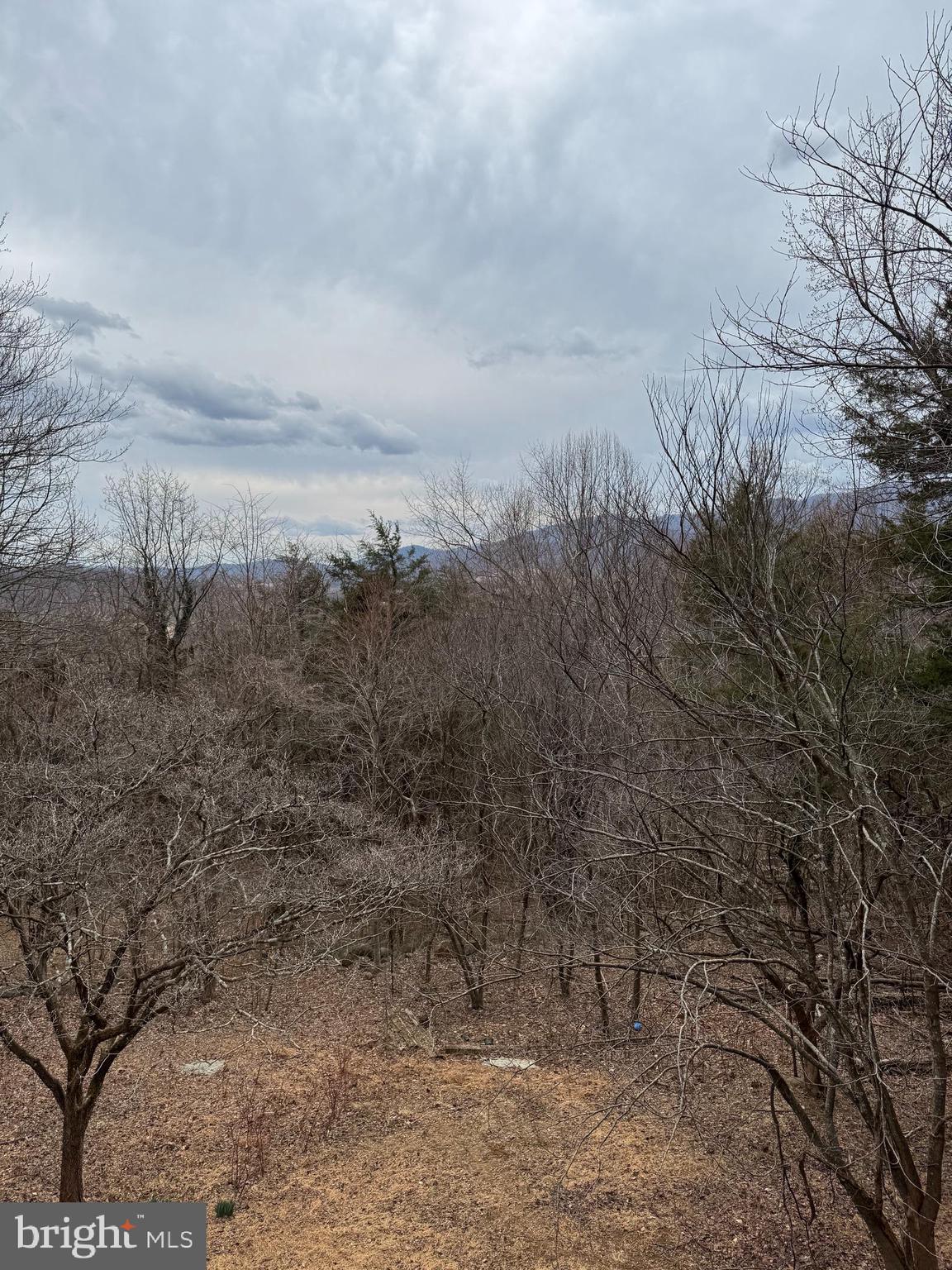 RAG MOUNTAIN ESTATES - Residential