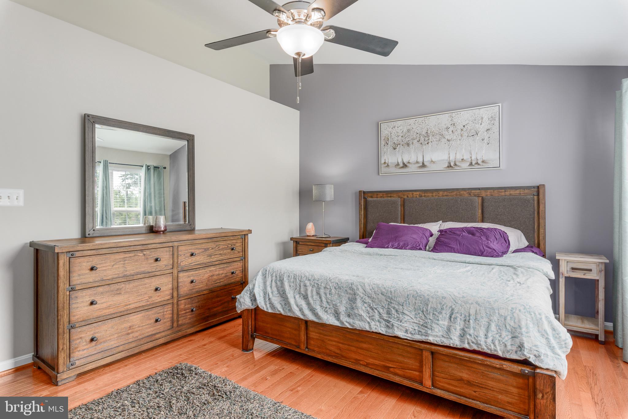 SQUIRREL HILL - Residential