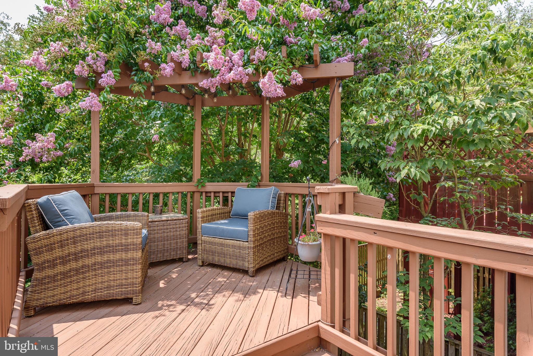 SQUIRREL HILL - Residential