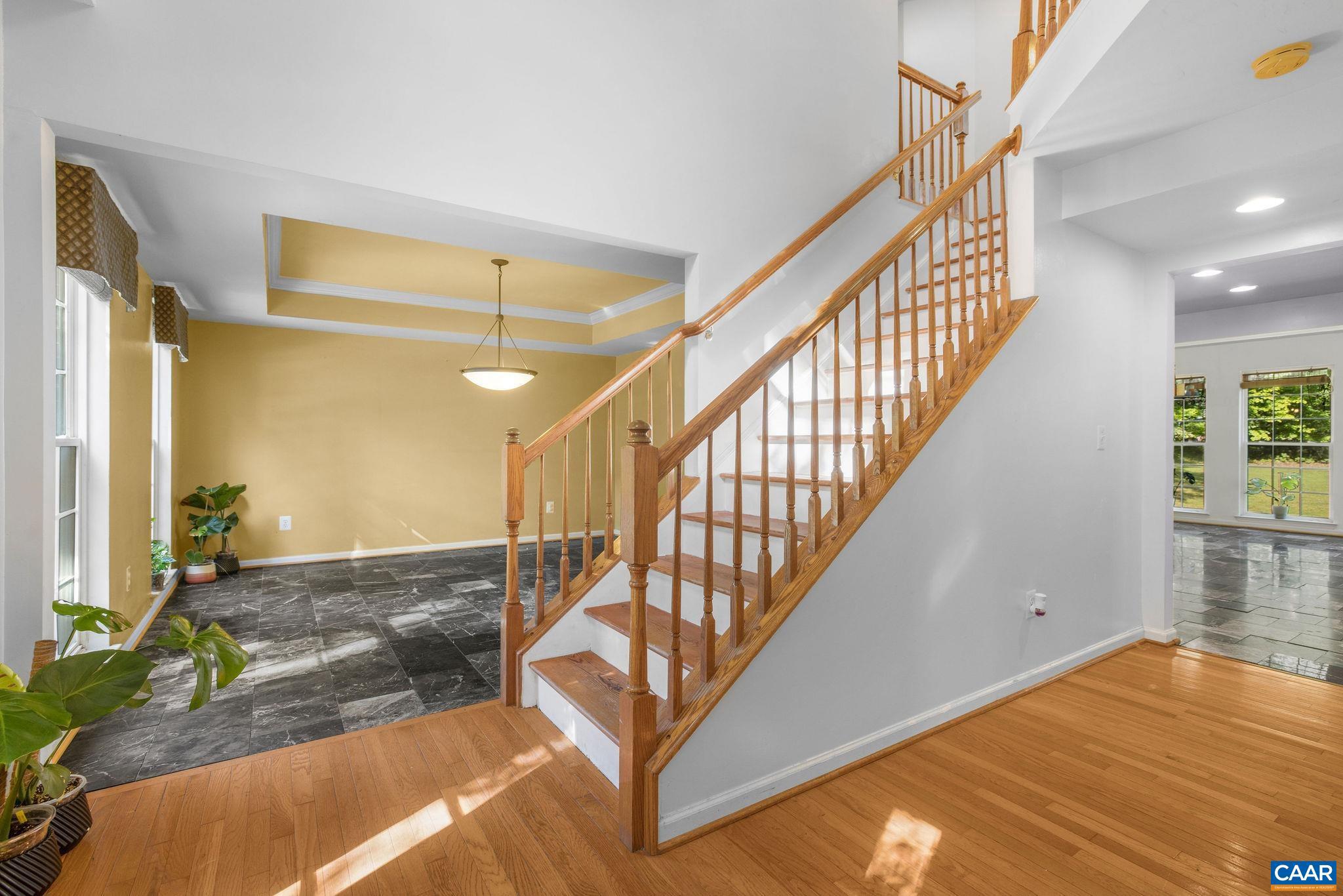 REEDY CREEK - Residential