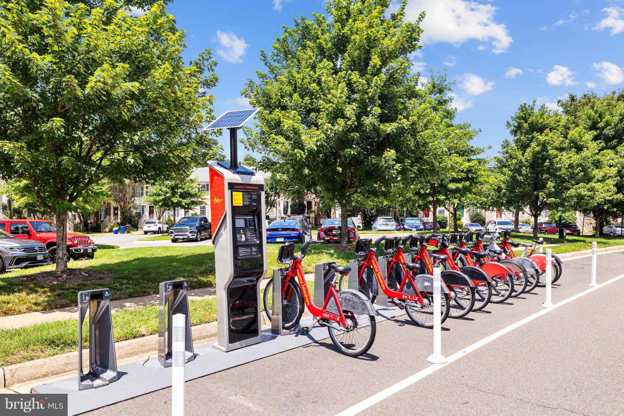 JAPONICA - Residential