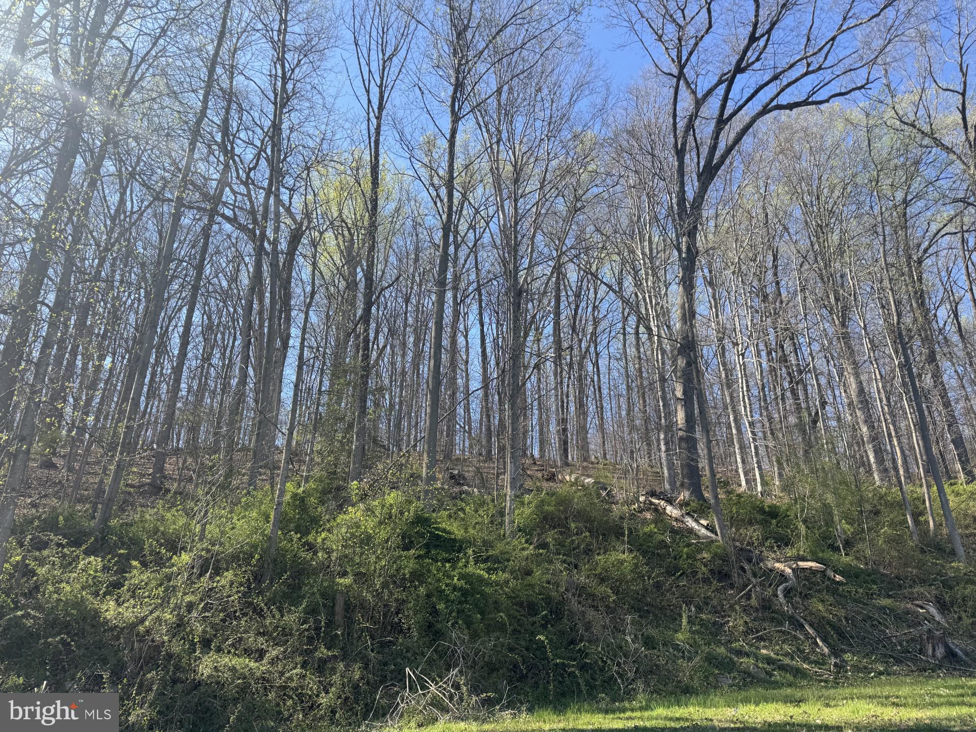 GLEN ARM - Residential