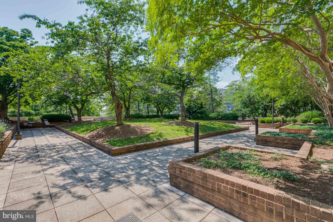 BARKLEY CONDO - Residential Lease