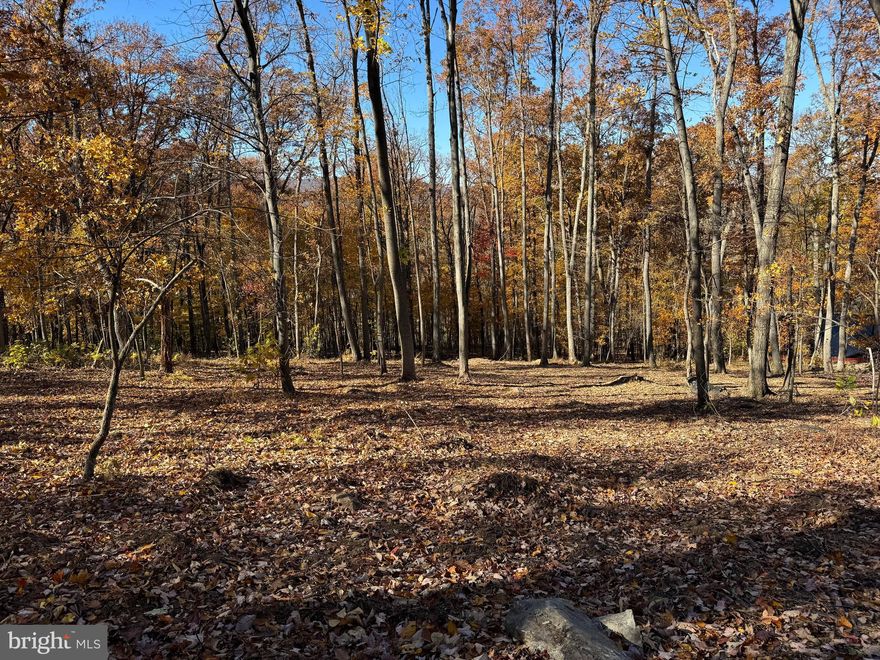 Welcome to your future mountain retreat in Western Loudoun County! This 2.72 acre building lot on the beautiful Short Hill Mountain lot boasts sweeping, hard-to-find views and total privacy.  Long-range elevated views of The Valley make this lot perfect for a custom home, investment build, or a multitude of other possibilities under AR1 zoning. Properties with this combination of terrain, access, and scenery are extremely limited. The lot features mature timber, natural contours for multiple potential homesites, and the peace and seclusion for a premium build location. Adjacent parcels are available as well.