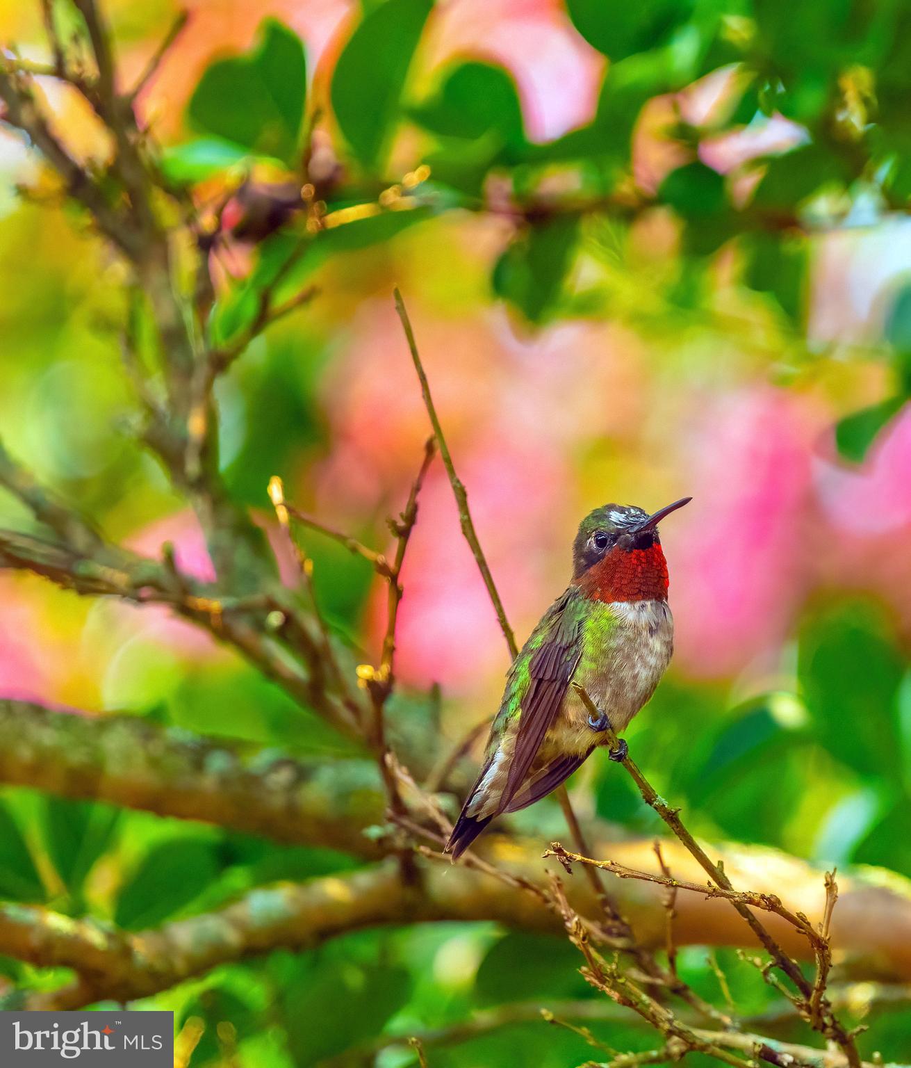 NORTH BEND - Residential
