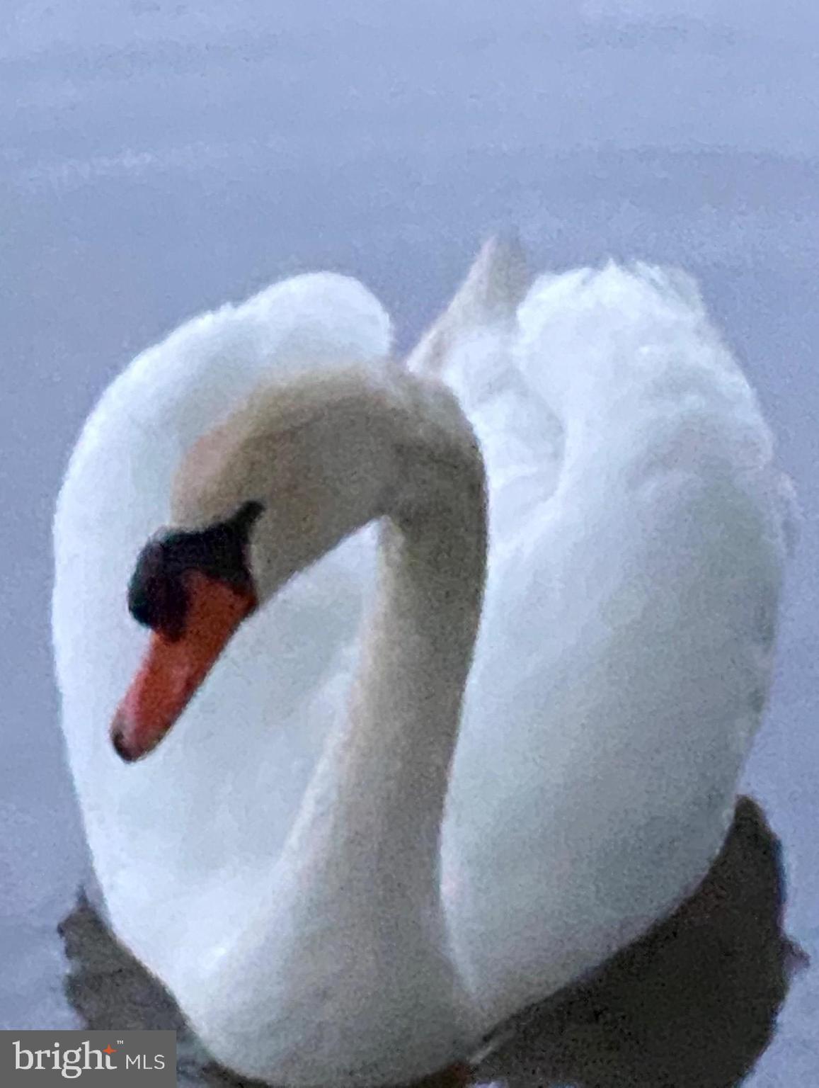 NORTH BEND - Residential