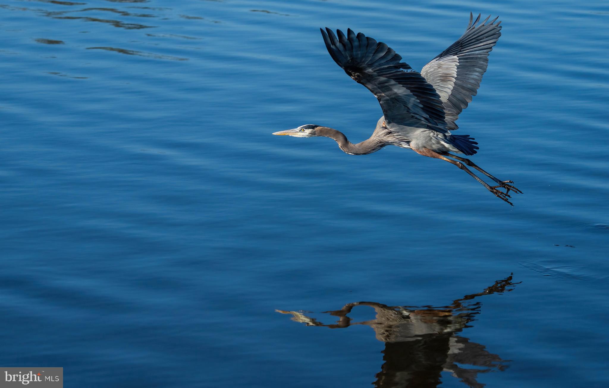 NORTH BEND - Residential