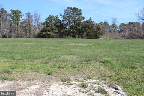 Vacant Land For Sale - 15 Davey Jones Boulevard<br/> Accomack County, GREENBACKVILLE, VA 23356