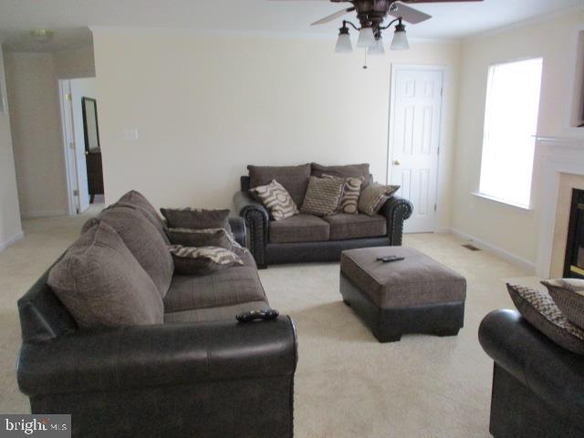 MEADOW LAKE - Residential