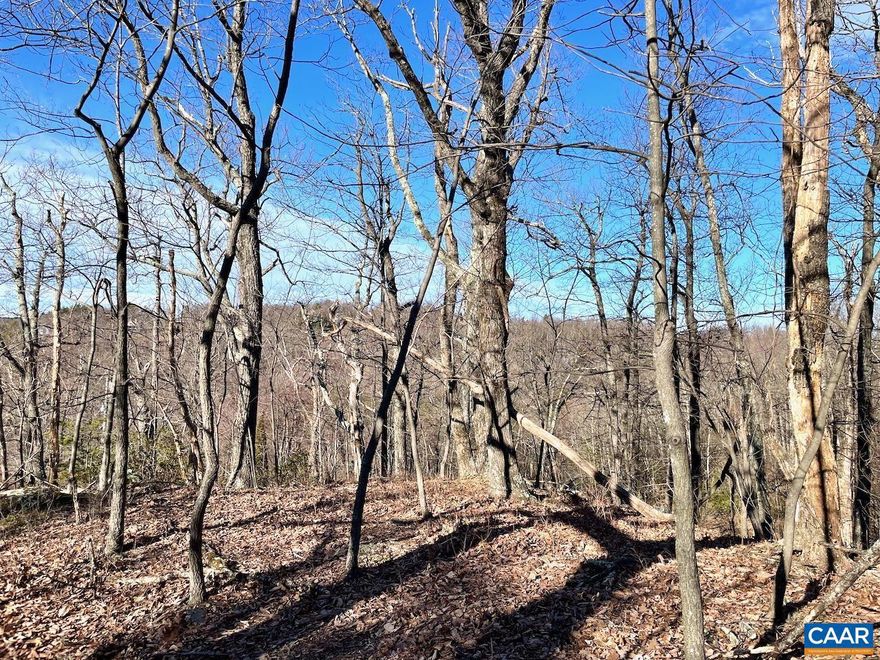 Walk to Shenandoah National Park and the Blue Ridge Parkway. Rare opportunity to own an elevated parcel within easy commute to Charlottesville, the Valley, Appalachian Trail & numerous other hiking trails including Humpback Rocks. Surrounded by mature hardwoods and amazing winter mountain views and year round with clearing.  Access road mostly paved, perc site evaluated for a 3BR engineered septic. Well pump was replace 10 years ago. Swannanoa golf course just around the bend.