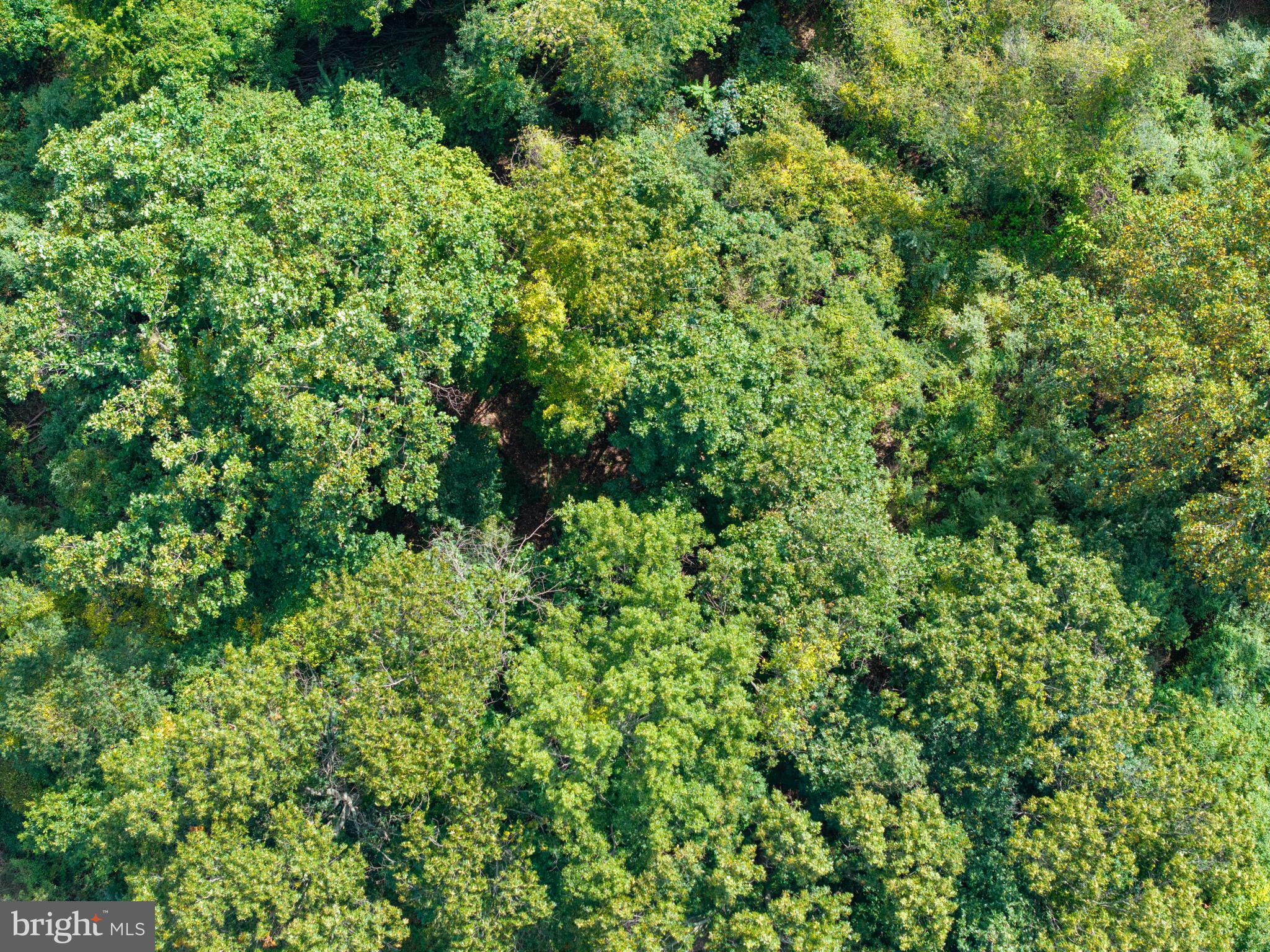 SOUTH COATESVILLE - Land