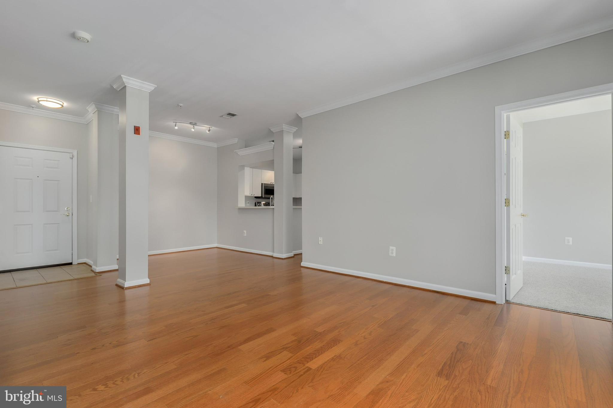 PALAZZO AT PARK CENTER - Residential