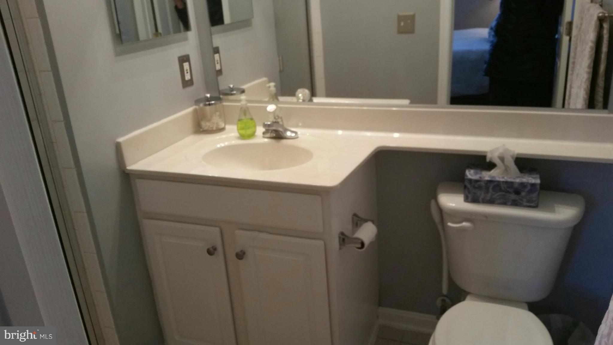 PARKSIDE AT ASHBURN - Residential